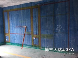 博林天瑞