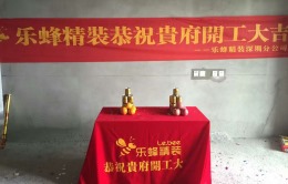 凤凰天誉87平 在施工地
