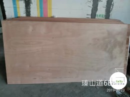 【誉巢别墅】瑧山道