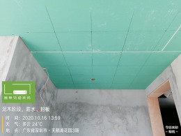 【誉巢别墅】天鹅堡三期