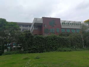 公司介绍