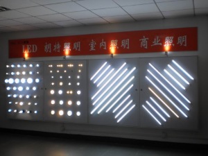 公司介绍