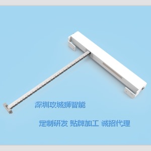 公司介绍