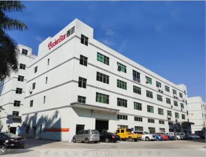 公司介绍
