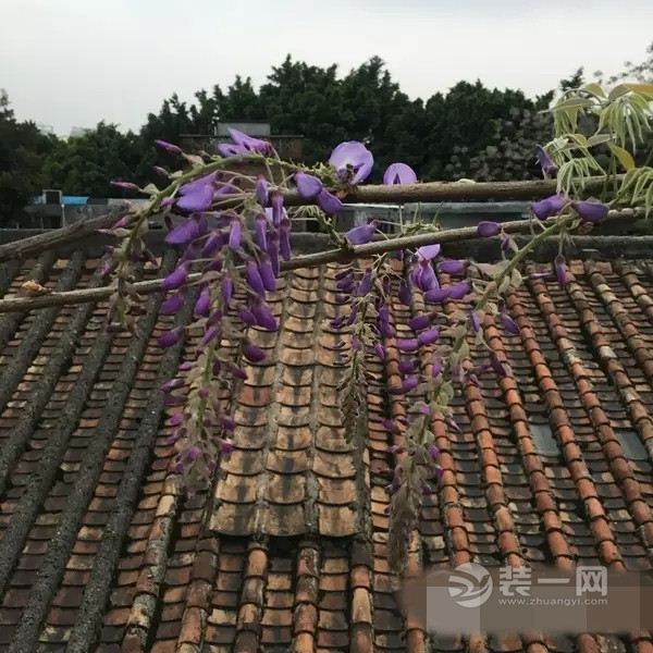 出租房装修改造